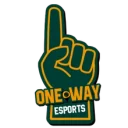One Way E-sports PUBG team — BROGGUA Esports