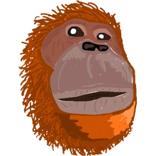 Origami Orangutans PUBG team — BROGGUA Esports