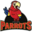 Parrots PUBG team — BROGGUA Esports