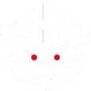 PHANTOM HEARTS E-SPORTS PUBG team — BROGGUA Esports