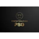 PSG PUBG team — BROGGUA Esports