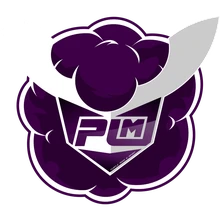 Purple Mood E-Sport PUBG team — BROGGUA Esports