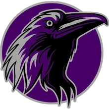 Team Raven PUBG team — BROGGUA Esports