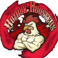 Rozhok Roosters PUBG team — BROGGUA Esports
