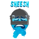 Sheesh PUBG team — BROGGUA Esports
