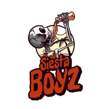Siestaboyz PUBG team — BROGGUA Esports