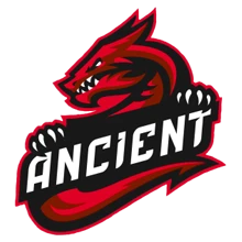 Team Ancient PUBG team — BROGGUA Esports