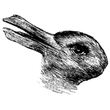 Team bodø PUBG team — BROGGUA Esports