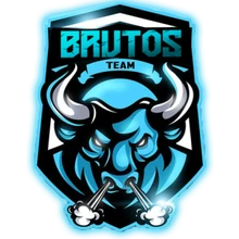 Team Brutos PUBG team — BROGGUA Esports