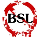 Team BSL Team BSL PUBG team — BROGGUA Esports