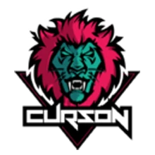 Team Curson PUBG team — BROGGUA Esports