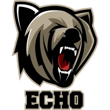 Team Echo PUBG team — BROGGUA Esports