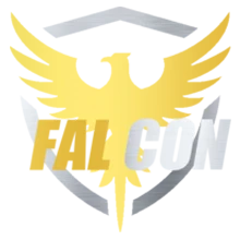Team Falcon PUBG team — BROGGUA Esports