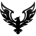 TEAM FAME PUBG team — BROGGUA Esports