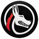 Team Ferox PUBG team — BROGGUA Esports