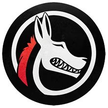 Team Ferox PUBG team — BROGGUA Esports