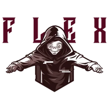 Team Flex PUBG team — BROGGUA Esports