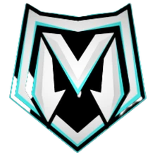 Team Malayan PUBG team — BROGGUA Esports