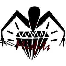 Team Misfits PUBG team — BROGGUA Esports