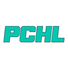 Team Pchelkin PUBG team — BROGGUA Esports