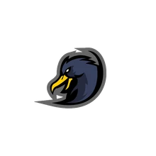 Team S2K PUBG team — BROGGUA Esports