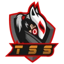 TEAM SHAMELESS TEAM SHAMELESS PUBG team — BROGGUA Esports