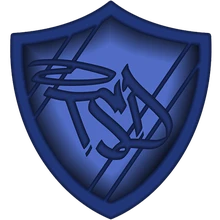 Team Shield PUBG team — BROGGUA Esports