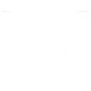 TM PUBG team — BROGGUA Esports