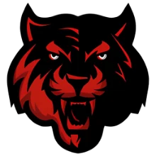 Turkısh Imperial PUBG team — BROGGUA Esports
