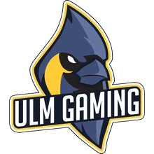Ulm Gaming PUBG team — BROGGUA Esports