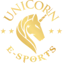 Unicorn Cyber Esports Unicorn Cyber Esports PUBG team — BROGGUA Esports