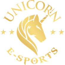 Unicorn Cyber Esports PUBG team — BROGGUA Esports