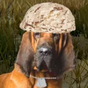 Verikoirat PUBG team — BROGGUA Esports