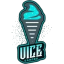 VICE VICE PUBG team — BROGGUA Esports