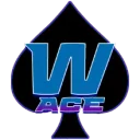 WACE BLUE WACE BLUE PUBG team — BROGGUA Esports