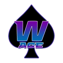 Wace E-sport PUBG team — BROGGUA Esports