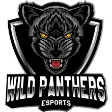 Wild Panthers Esports PUBG team — BROGGUA Esports