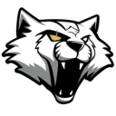 Wygers Argentina PUBG team — BROGGUA Esports