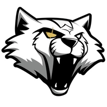 Wygers Argentina PUBG team — BROGGUA Esports